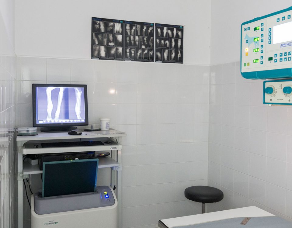 Radiología Digital Veterinaria